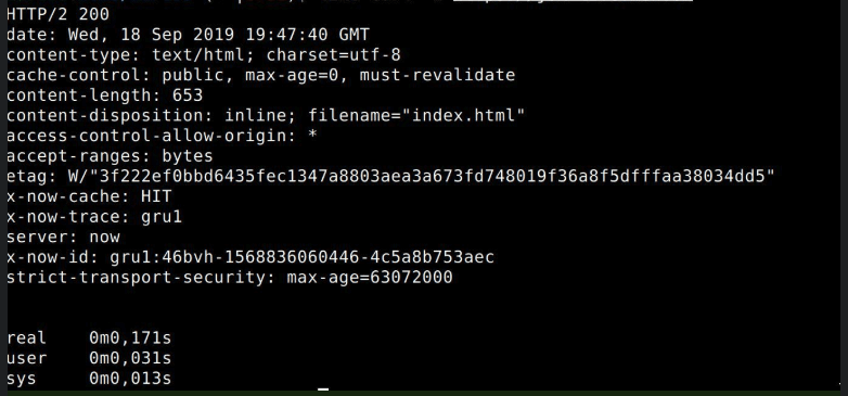 Terminal output showing a Now deployment response completing in 0.171 seconds