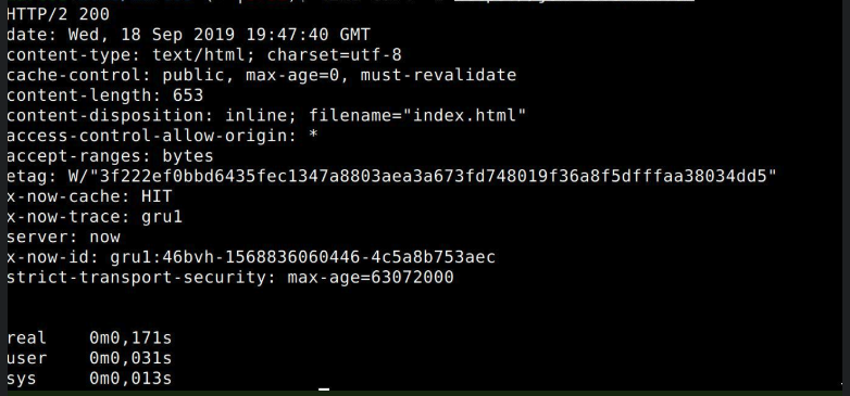 Terminal output showing a Now deployment response completing in 0.171 seconds
